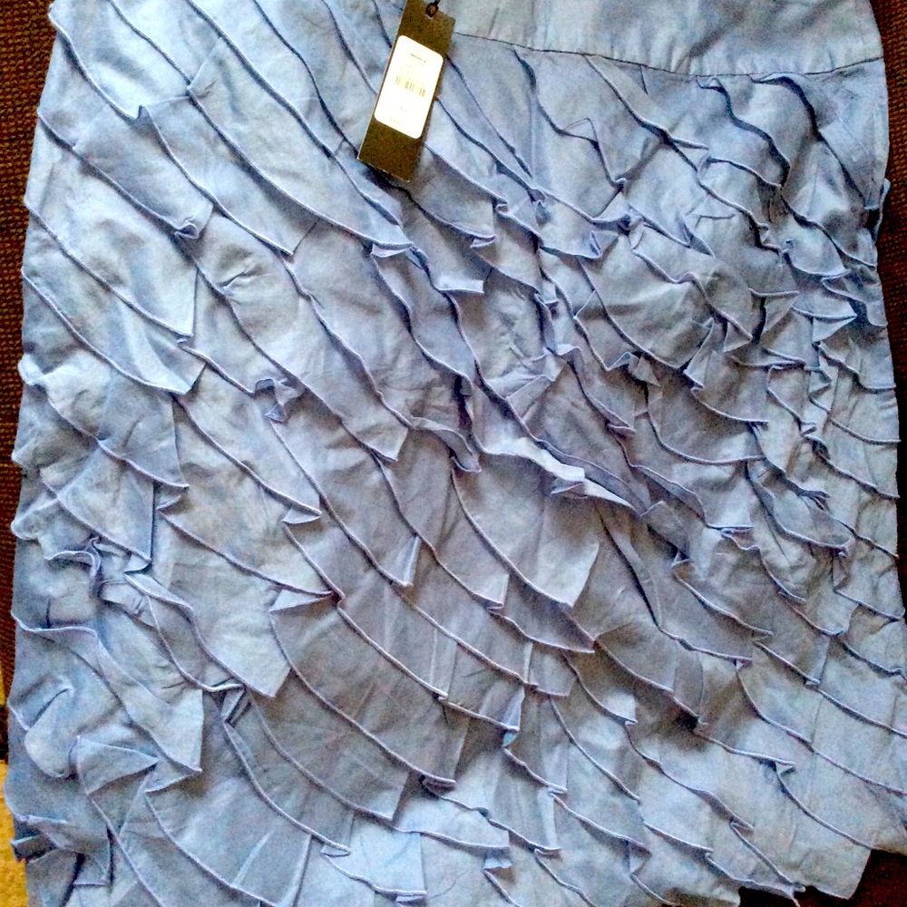 Ruffle skirt from Talbots NWT